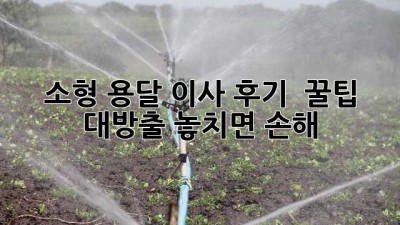 📦 소형 용달 이사 후기 & 꿀팁 대방출! 놓치면 손해 💸