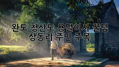 완도 청산도 용달이사 꿀팁! 📦 상동리 주민 주목! ✨